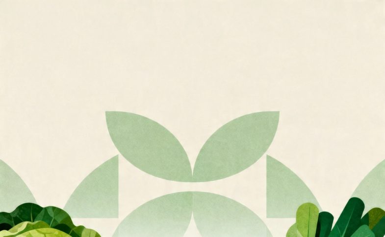 Οδηγός για μια Υγιεινή Διατροφή